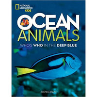 Ocean Animals  Who's Who in the Deep Blue
