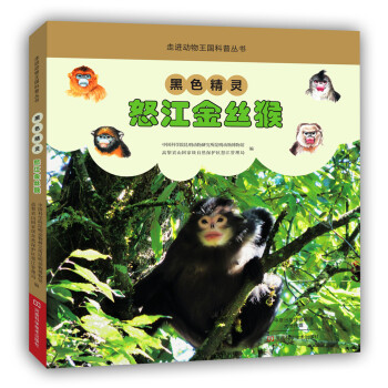 黑色精灵：怒江金丝猴