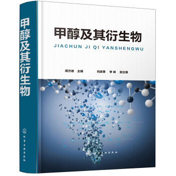 甲醇及其衍生物