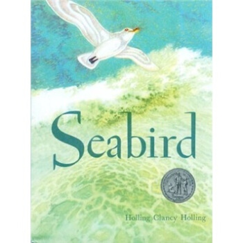 Seabird  海鸟