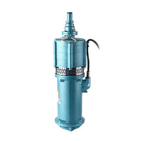 沪大QD3-45/2-1.1 QDQ小型潜水电泵（小老鼠）系列 电压220V口径50mm