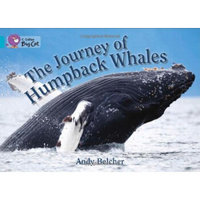 Collins Big Cat - The Journey of Humpback Whales: Turquoise/Band 7