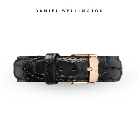 丹尼尔惠灵顿（DanielWellington）DW原装表带17mm皮带金色针扣女款DW00200134（适用于34mm表盘系列）