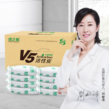 绿之源 GREEN SOURCFE活性炭包5000g 新车汽车内除味除甲醛汽车竹炭包碳包车家两用新房装修车载摆件除臭除湿 V5系列