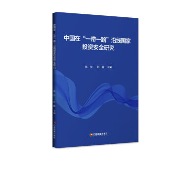 中国在一带一路沿线国家投资安全研究