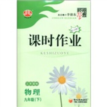 经纶学典·课时作业：物理（9年级下）（江苏国标）（第3次修订）