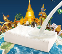 SINOMAX 赛诺 乐享透气款 泰国进口乳胶枕