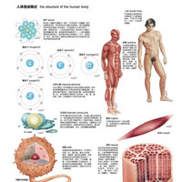 《人体图谱：解剖学·组织学·病理学》