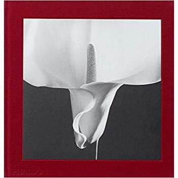 Mapplethorpe Flora