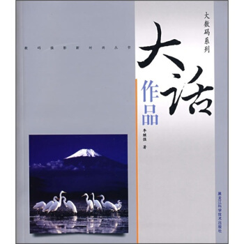 大数码系列：大话作品