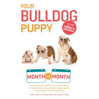 Your Bulldog Puppy Month by Month