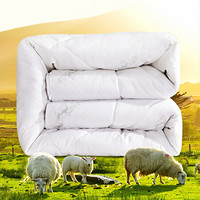 瑞卡丝家纺 羊毛被秋冬保暖加厚纯棉冬被床上用品被芯 藏山羊双人6斤 200*230cm