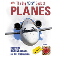 The Big Noisy Book of Planes