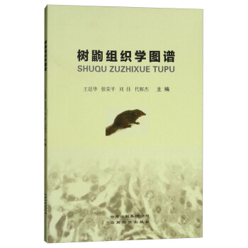 树鼩组织学图谱