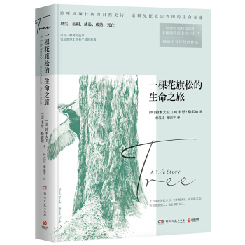 一棵花旗松的生命之旅