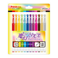 派仕(Paisin)闪光笔12支/卡1.0mm子弹头彩色笔绘画笔贺卡笔12PC520