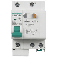 天正电气（TENGEN）小型漏电断路器 TGB1NLE-63 1P+N C40 30mA /个 可定制