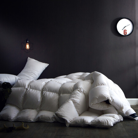 格兰贝恩（Globon）被芯家纺 霍尔多巴吉95鹅绒被 100支纯棉贡缎羽绒被子冬被 皓月白 填充量1.3kg 200*230cm