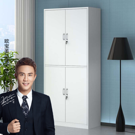 Alpen 欧倍 欧宝美文件柜办公柜钢制铁皮柜资料柜档案柜储物柜通双节文件柜