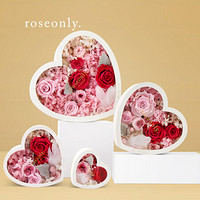roseonly（诺誓）For all Love 玫瑰永生花礼盒 红粉中型 同城鲜花速递礼品 情人节礼物 生日礼物 送女友