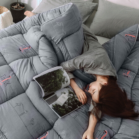 简丽（janlee）春秋被子单人床加厚学生宿舍保暖春季季被芯棉被1.5米 152*218cm 火烈鸟