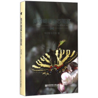 南京蝴蝶生态图鉴