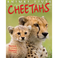 Animal Lives: Cheetah