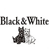 black & white/黑白狗