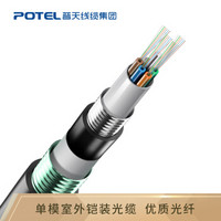 普天汉飞（POTEL）室外单模光缆GYTA53-24B1.3 24芯加强铠装光纤通讯地埋光缆100米 长度定制