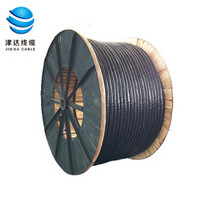 津达线缆 电线电缆 国标铜芯阻燃4+1芯电力电缆 ZCYJV4*10+1*6平方 1米