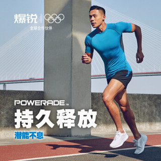 可口可乐 coca-cola 爆锐耐力 powerade nai运动饮料 500ml*12 整箱装