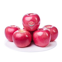 佳农 山东烟台红富士苹果 8斤装 年货专供 单果重约180g-230g