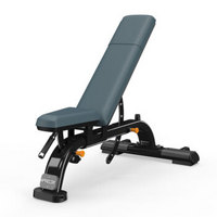 必确 PRECOR DBR119可调节训练椅