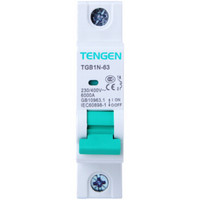 天正电气（TENGEN）小型断路器 TGB1N-63 1P C10 /个 可定制