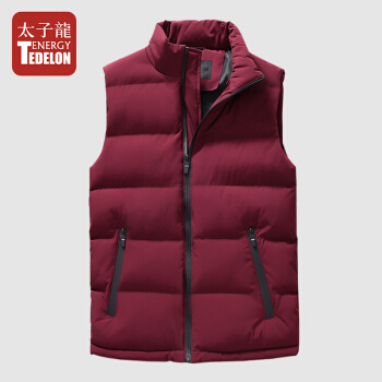 太子龙（TEDELON）马甲男 2019秋冬季新款立领修身时尚休闲保暖坎肩无袖马夹上衣外套SS-9998 红色 3XL