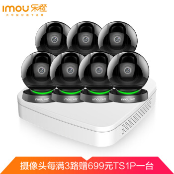 大华乐橙（IMOU）终身免费云存储高清录摄监控设备套装TP7  8路3T硬盘 7台1080P无线监控摄像头 家用商铺工程