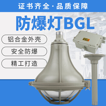 鸣固 BGL-200L增安型防爆灯70W/100W粉尘防爆防腐工厂弯灯壁灯不锈钢户  BGL-250L+50WLED灯泡