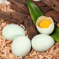 新地界 苦荞乌鸡蛋 20枚 苦荞玉米杂粮饲养鲜鸡蛋