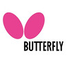 Butterfly/蝴蝶