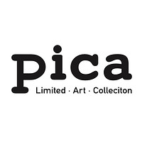 拾相记 PICA Photo