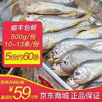 鲜冻小黄鱼  500g *5件