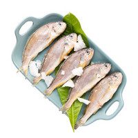 獐子岛 冷冻小黄花鱼 450g 7-9条 袋装 海鲜水产