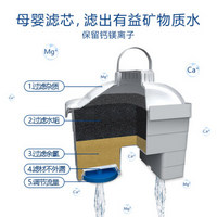 莱卡LAICA意大利原装进口滤芯家用办公自来水净水器直饮净水壶过滤水壶通用过滤芯双效碧然德通用 单支装