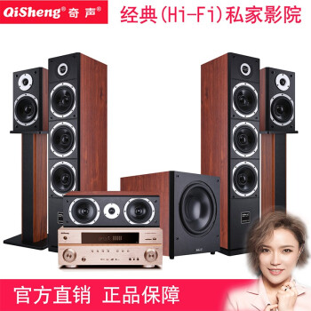 奇声（QISHENG） 家庭影院大功率5.1功放机DTS发烧级HIFI功率放大器会议广播 1809+HQ-35整套+低音炮