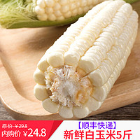 集鲜锋 玉米 新鲜水果白玉米甜糯嫩蔬菜 5斤
