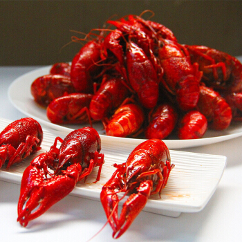 浓鲜时光 即食麻辣小龙虾 1600g 4-6钱 净虾850g 盒装