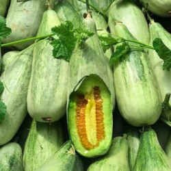 现摘甜瓜羊角蜜5斤实惠装