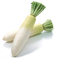 【视频】粤菜经典!清淡入味的清汤牛腩快来端走吧~