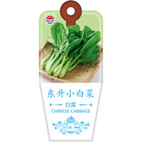 京东PLUS会员：北京东升种业（DS）东升小白菜种子 四季蔬菜 家庭阳台 庭院种植500粒/袋