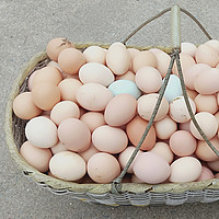 高匠 正宗土鸡蛋开窝蛋40枚